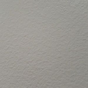 Meet your Posher, Isabel